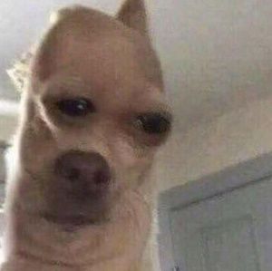 Meet your Posher, Elaina